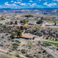 Coton de Tulear Puppy for sale Sedona AZ